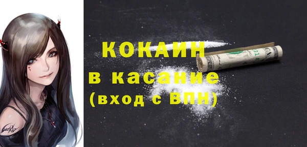 мяу мяу мука Баксан