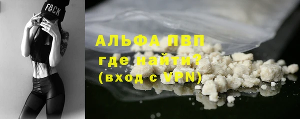 мяу мяу мука Баксан