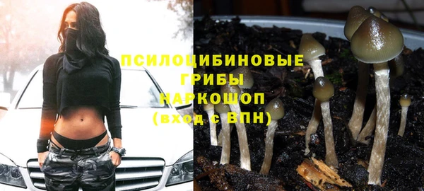 Альфа ПВП Балабаново